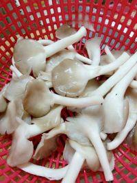 平菇番茄肉丝汤的做法步骤2