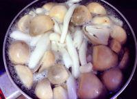 丸子鱼腐菌菇煲的做法步骤4
